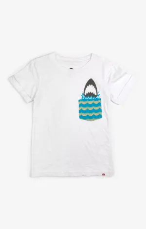 Boys Tops | Day Trip Tee | Appaman