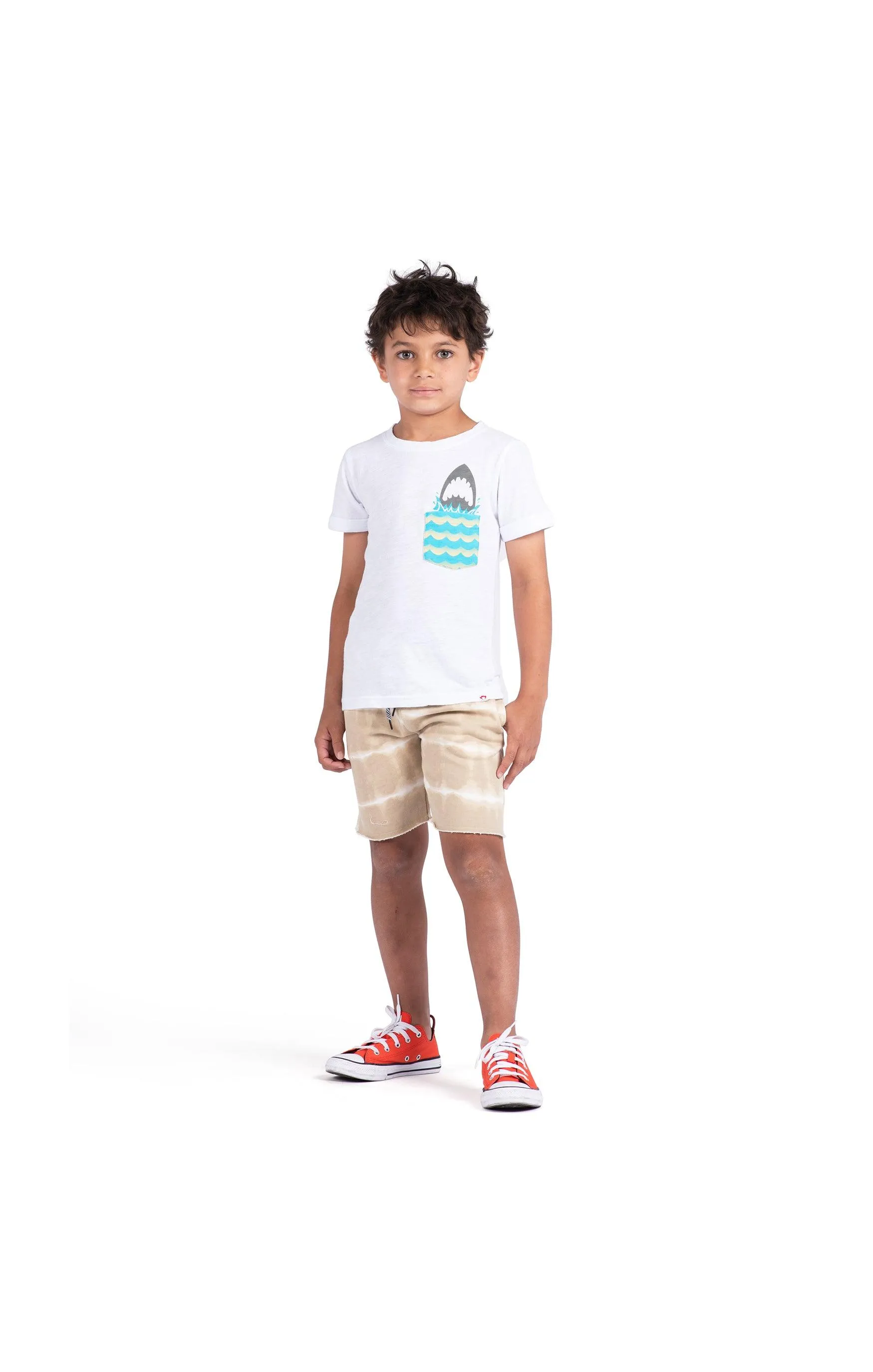 Boys Tops | Day Trip Tee | Appaman