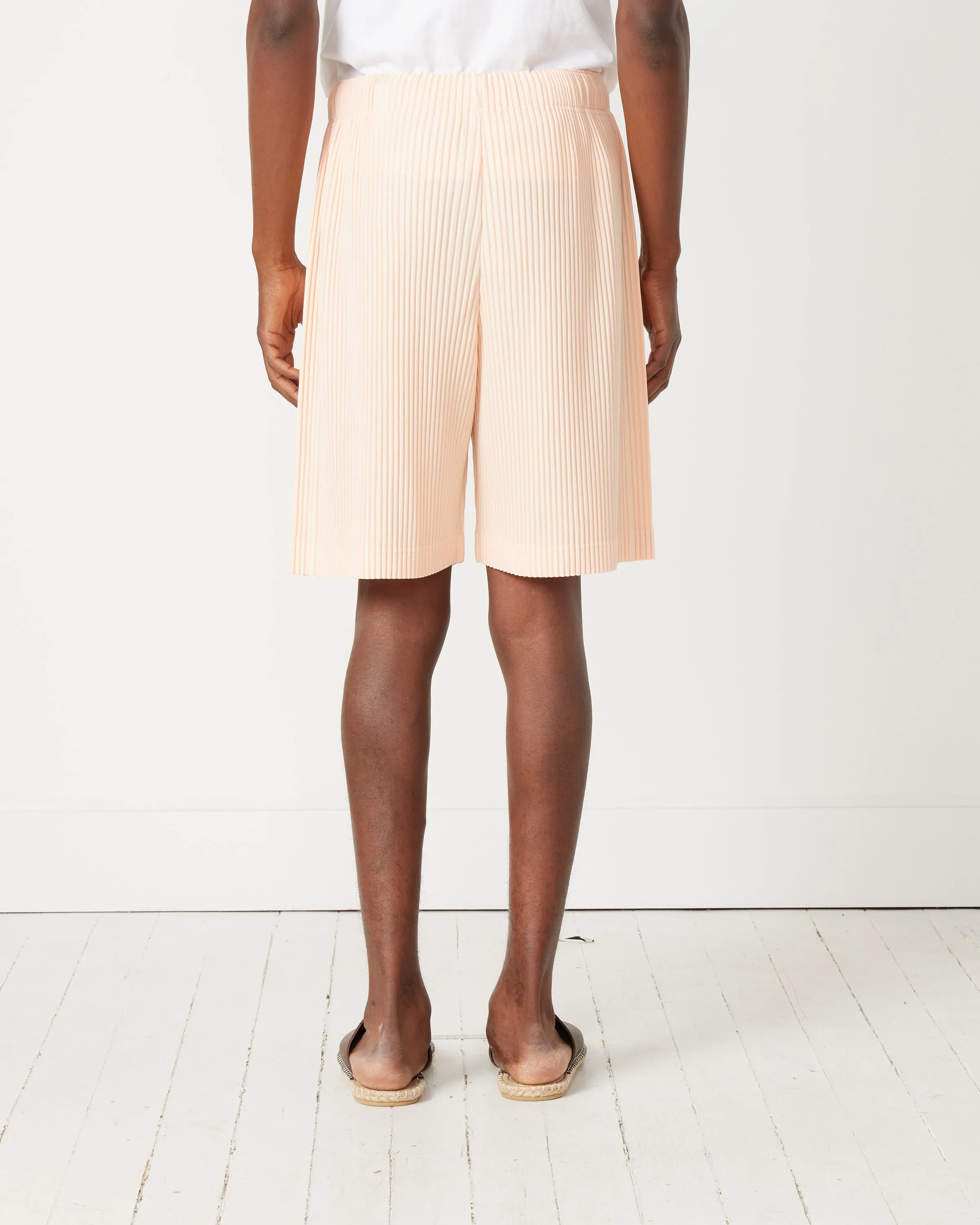 Color Pleats Bottoms