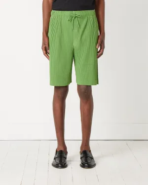 Color Pleats Bottoms
