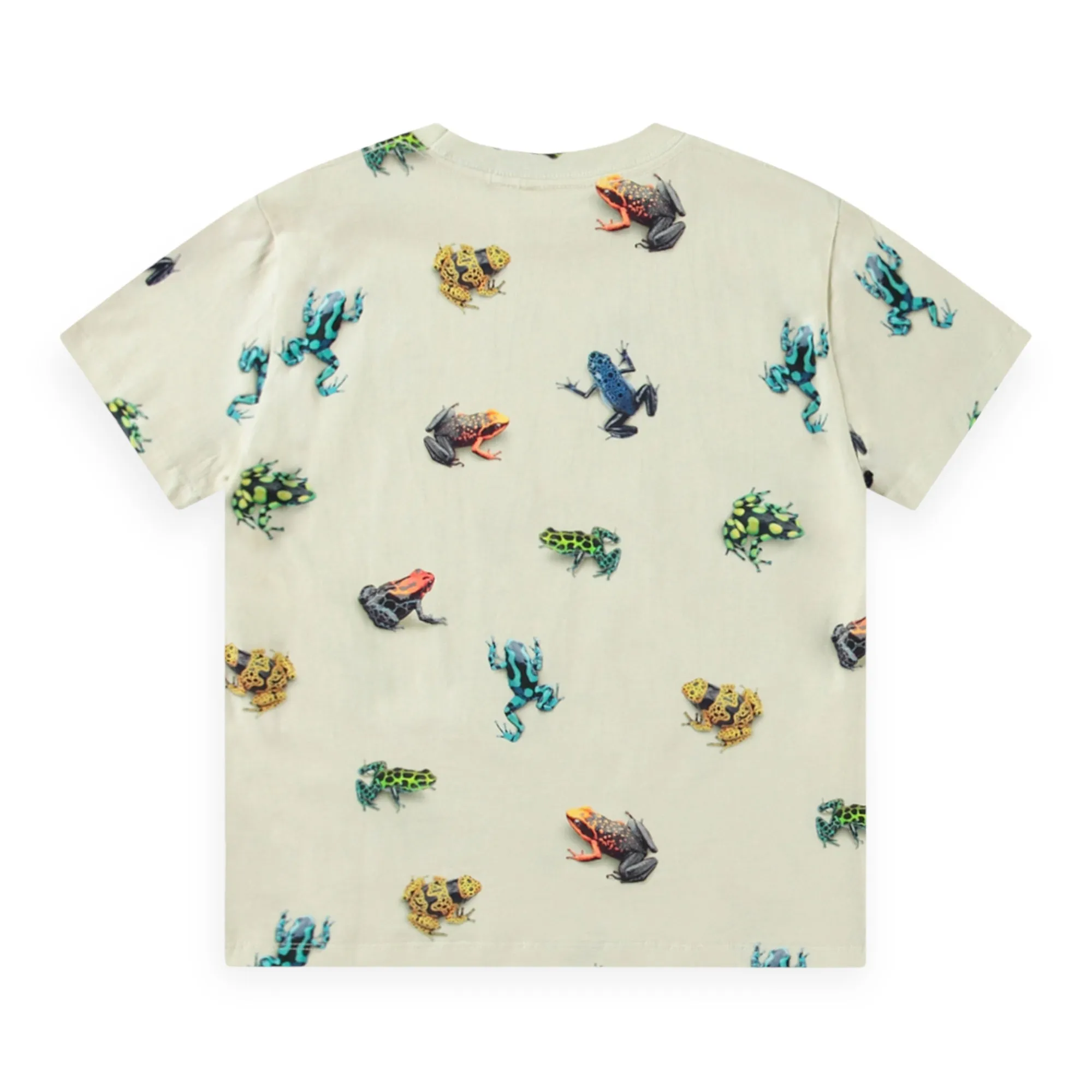 Molo Roxo s/s Tee ~ Vibrant Frogs