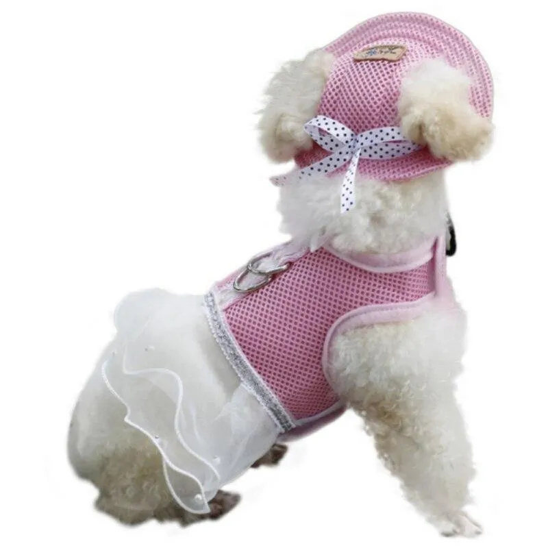 Outdoor Dog Hiking Tailup Ear Hat